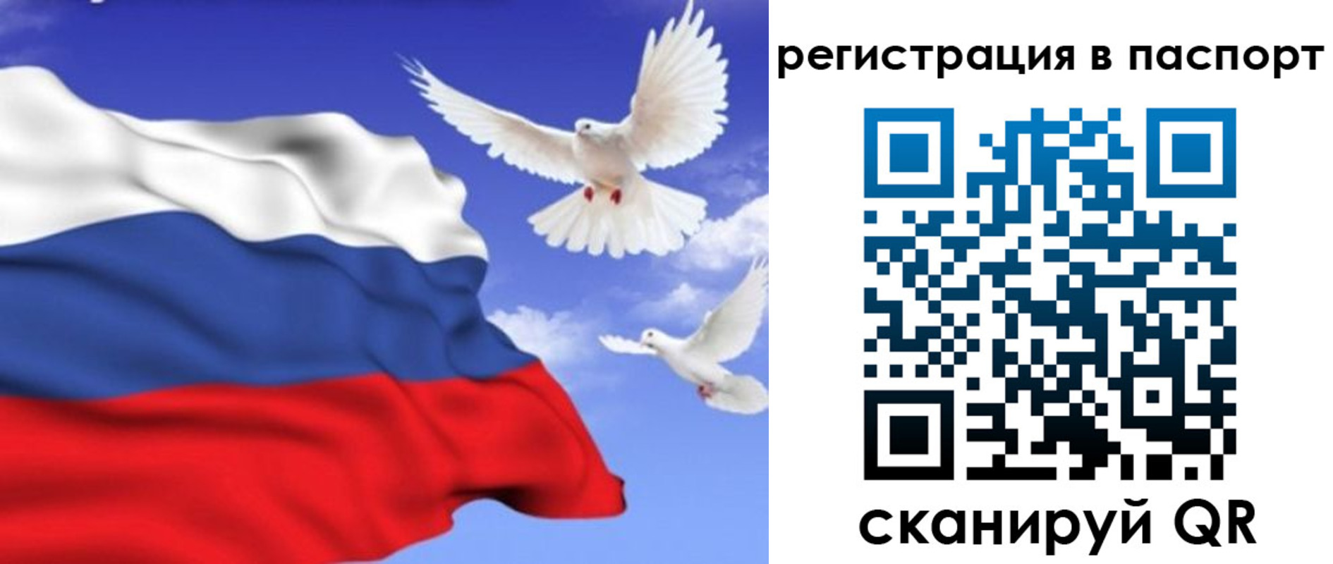 купить прописку в Мыски